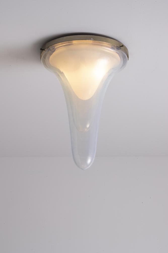 CARLO NASON (1 of 1)