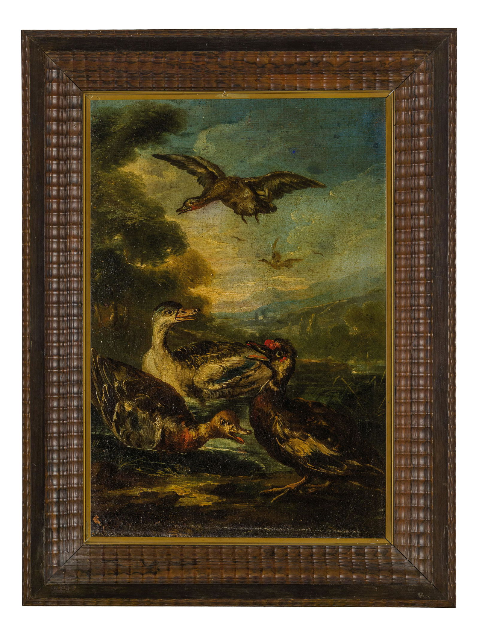 ANGELO MARIA CRIVELLI detto il CRIVELLONE: (attivo a Milano tra il 1690 e il 1730) Paesaggio lacustre con papere Olio su tela, cm 46X31 Il soggetto e il vivace carattere della pennellata suggeriscono immediatamente l'attribuzione ad Angelo Mar