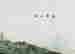 item-117112735=2