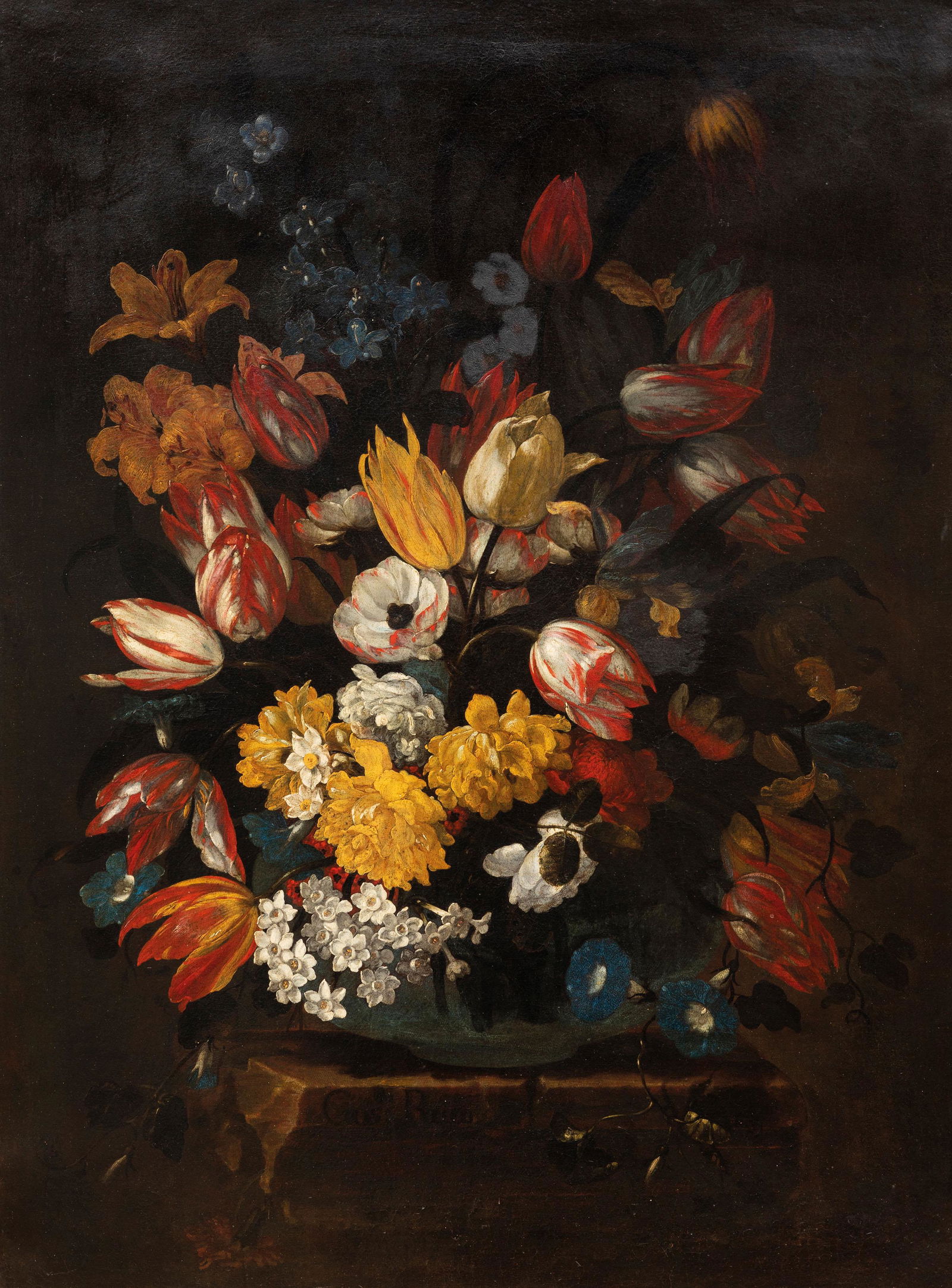 GIUSEPPE RECCO (1 of 4)