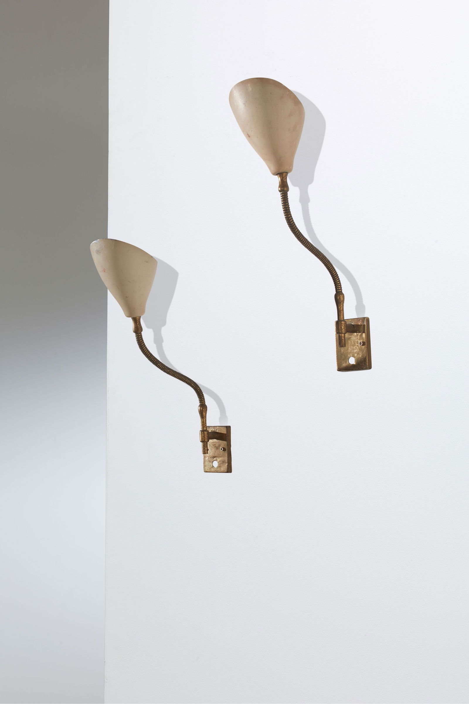 ANGELO LELII (1 of 1)