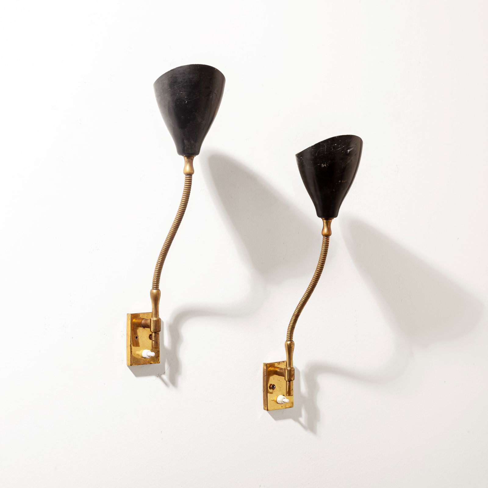 ANGELO LELII (1 of 3)