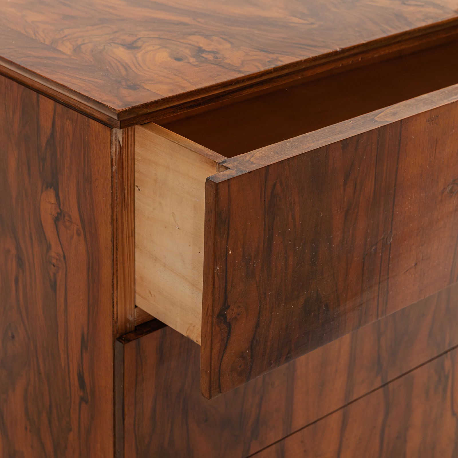 DOMUS NOVA (ATTRIB. A) - 5