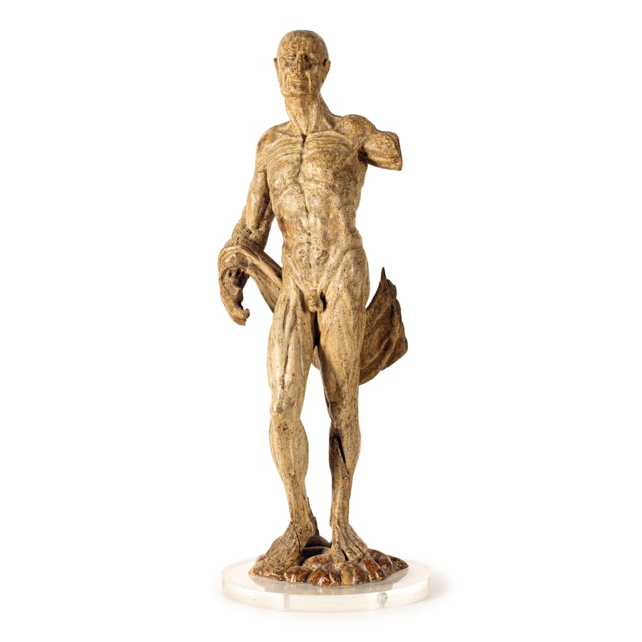 GRUPPO IN LEGNO LACCATO, XVIII-XIX SECOLO: raffigurante modello di scorticato ispirato da un modello di Houdon, poggia su base circolare in plexiglass non pertinente; difetti, cadute e mancanze nella lacca, restauri, alcune parti mancanti,