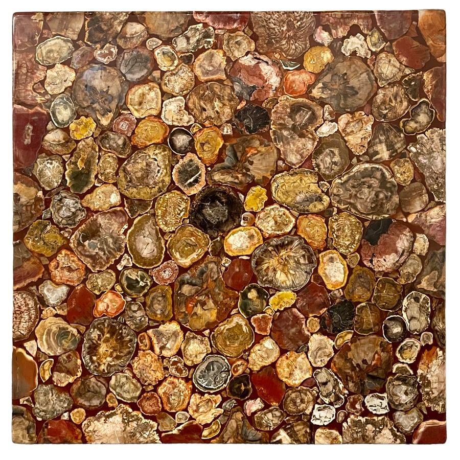 PIANO IN MARMI FOSSILI E RESINA, RECENTE MANIFATTURA: squadrato e formato da tessere polilobate fissate da resina trasparente; minori difetti, pochi graffi Cm 80X80X3 FOSSIL MARBLE AND RESIN TOP, RECENT MANUFACTURE; MINOR DEFECTS, FEW SCRATCHES