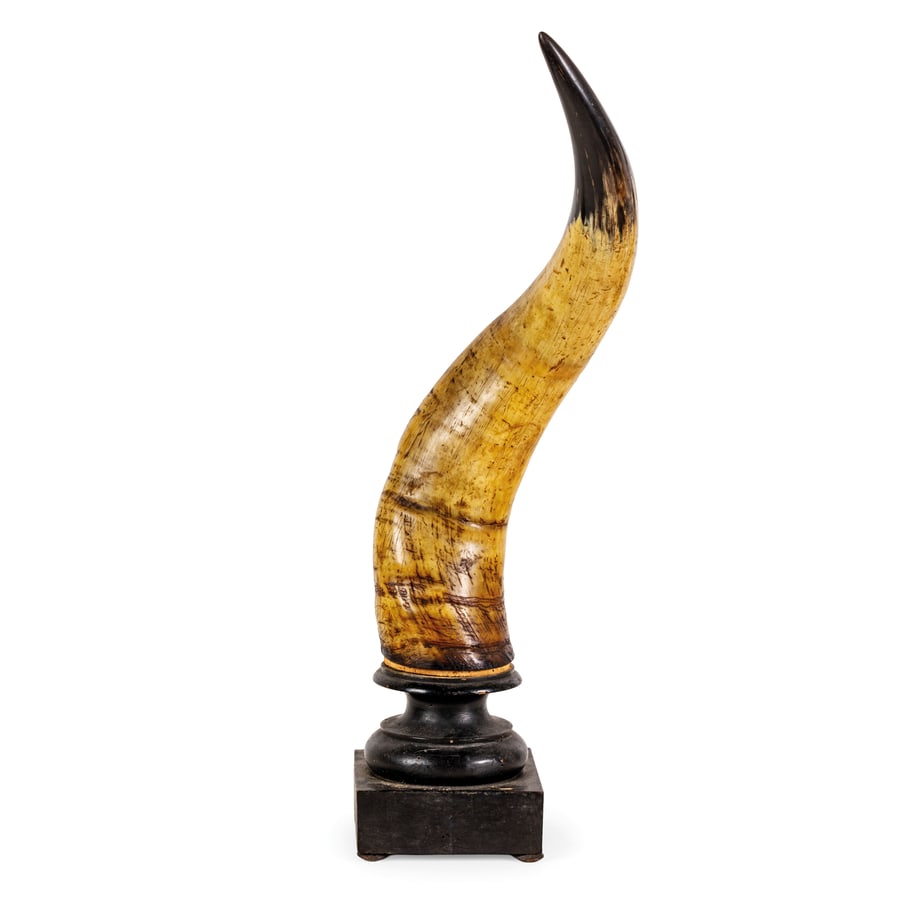 COPPIA DI CORNI, INIZIO DEL XX SECOLO: poggiano su base e supporto in legno ebanizzato; difetti e graffi, basi con tracce di tarlo e alcune rotture Cm 53X11X11 Alt. totale cm 66 A PAIR OF HORNS, EARLY 20TH CENTURY; DEFECTS, SCRATCHES, STAN