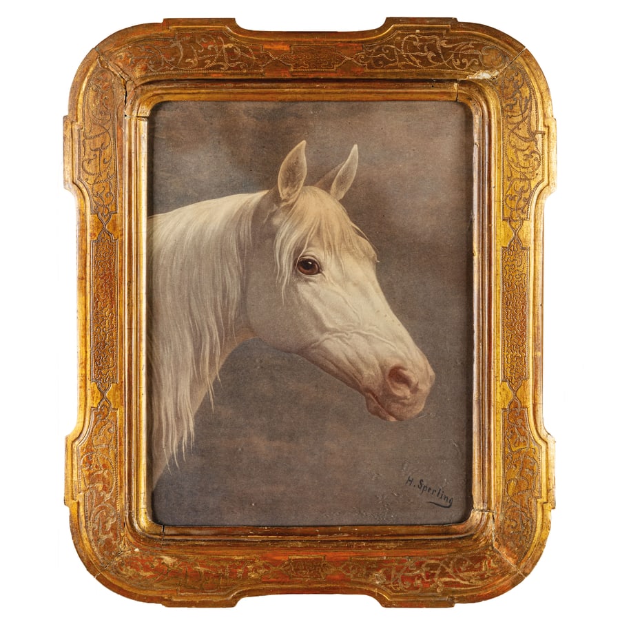 HEINRICH SPERLING: Warnkehagen 1844 - Berlino 1924 Ritratto di cavallo bianco Firmato H Sperling in basso a destra Pastello su cartone, cm 40,5X32 Il pittore tedesco Heinrich Sperling si formò in un'epoca in cui