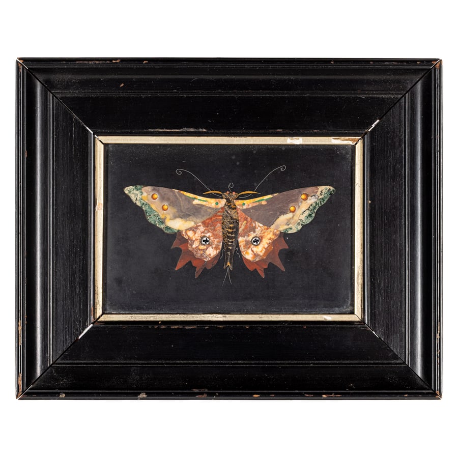 PLACCA IN MARMI DIVERSI, XIX-XX SECOLO: raffigurante farfalla policroma su base in nero del Belgio, monta in cornice moderna in legno ebanizzato; minori difetti, la cornice da fissare Cm 9X13 Cornice, cm 17X21 A VARIOUS MARBLE PLAQUE, 19TH-