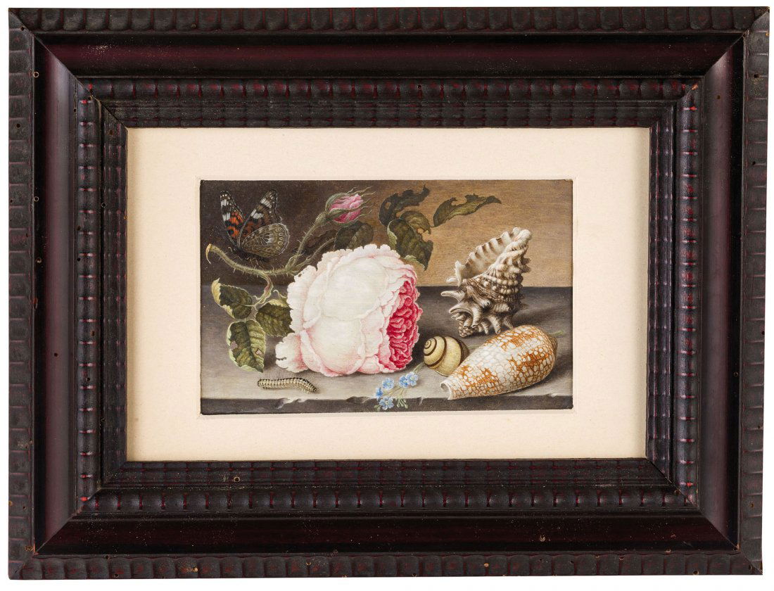 PITTORE DEL XVII SECOLO: Natura morta con rosa, conchiglie, bruco e farfalla Olio su rame, cm 11X17 Questa elegante miniatura su rame, giÃ attribuita a Balthasar van der Ast, esibisce caratteri di stile che conducono alla