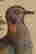 item-90608077=10