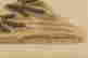 item-90608077=13
