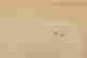 item-90608077=15
