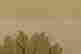 item-90608077=16