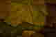 item-90608077=3