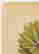 item-90608077=5