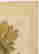 item-90608077=6
