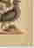 item-90608077=8