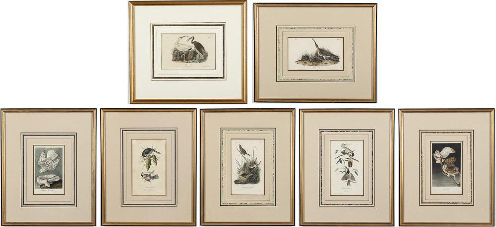 After Audubon, 9 Framed Bird Prints: Property from a Private Collection, Hilton Head Island, SC each from the Birds of America by John James Audubon, 1843, French matted and framed, some having the pages from the book relating to the pri