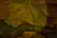 item-98457983=3