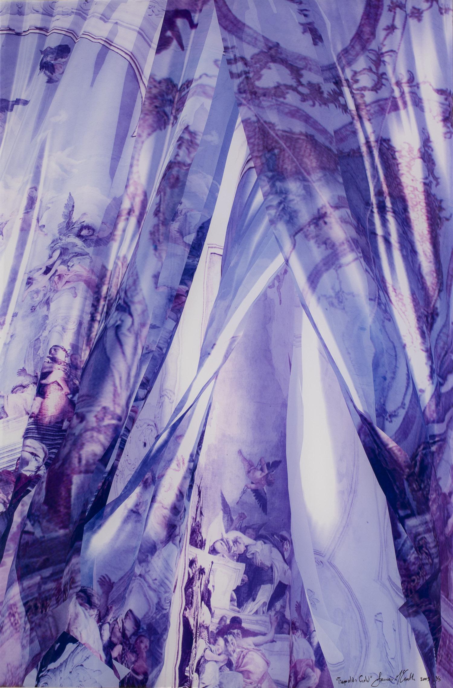 James McGrath, Tiepolos Gold, Lambda Print, 2003: James McGrath, Tiepolos Gold, Lambda Print Mounted to Plexiglass, 2003, (Australian, b. 1969) plexiglass mounted lambda print, titled, signed, dated '2003' and numbered 1/5 lower right, depicting a sh