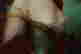 item-113952900=10