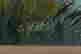 item-113952946=2