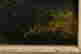 item-113952947=2