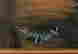 item-113953389=3