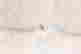 item-113953464=9