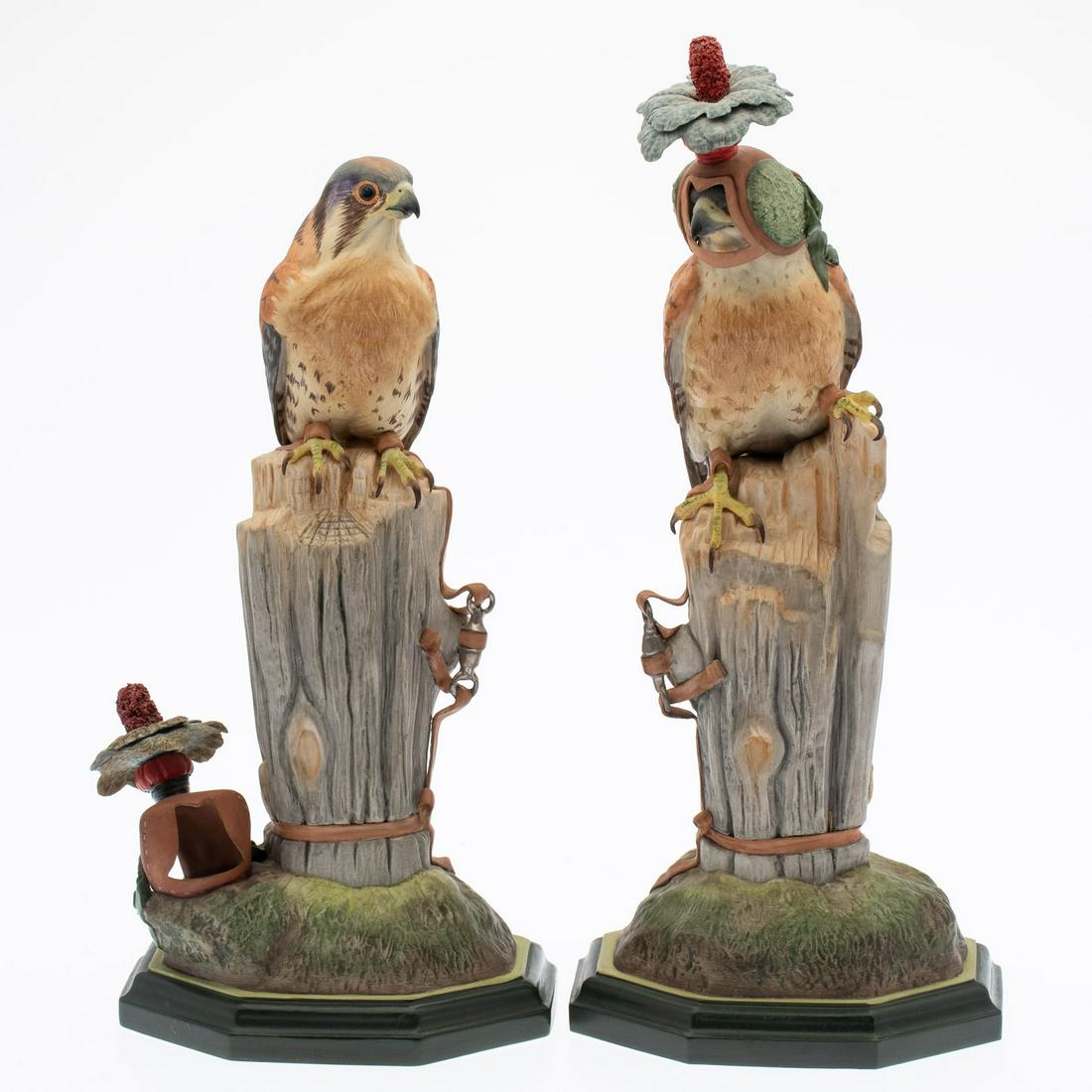 Pair of Boehm Kestrels with Falcon Hoods (1 of 16)