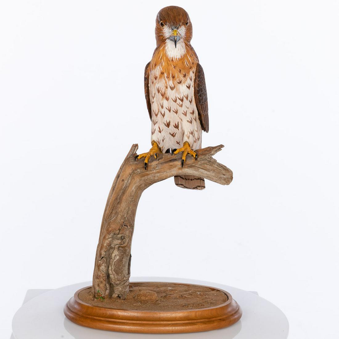 Bill Coite (Maine, 20th century), Hawk, Carved Wood (1 of 11)