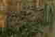 item-129022875=3