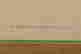 item-129022999=4