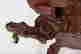 item-137250298=15