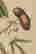 item-137250373=10
