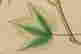 item-137250375=12