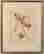 item-137250375=2