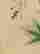item-137250375=6