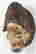 item-137250555=13