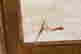 item-137235226=2