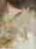 item-137235243=8