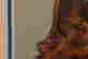 item-137235576=19
