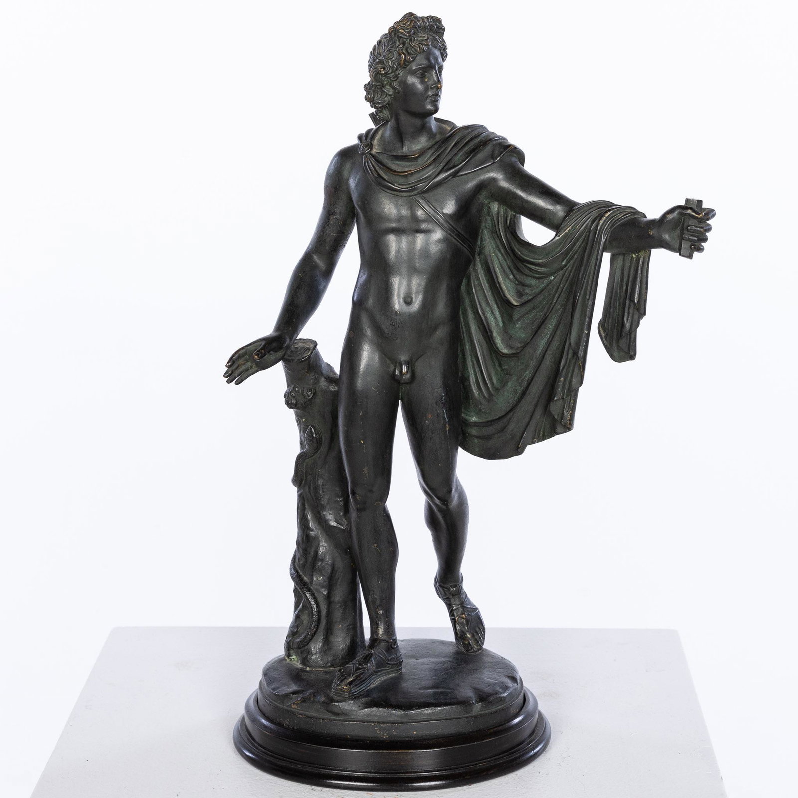 After the Antique, Apollo Belvedere Bronze (1 of 10)