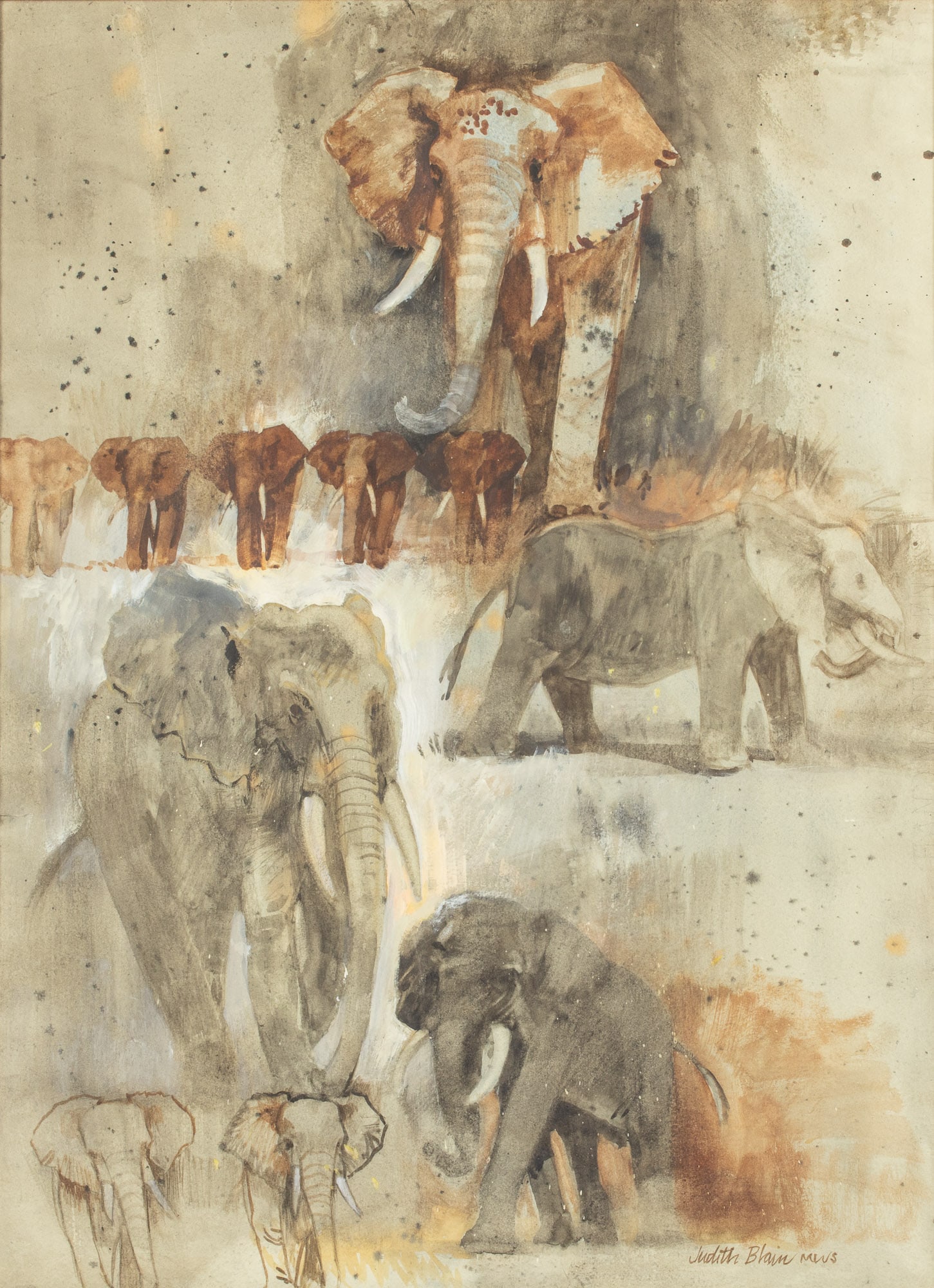 Judith Blain (MN, b. 1937), Elephants, Watercolor (1 of 12)