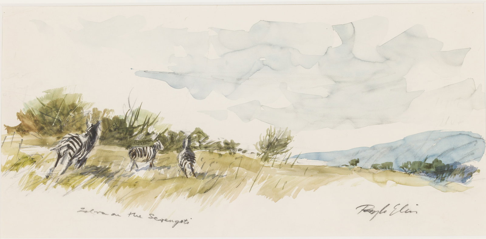 Ray Ellis (1921-2013), Zebra on the Serengeti, W/C (1 of 14)