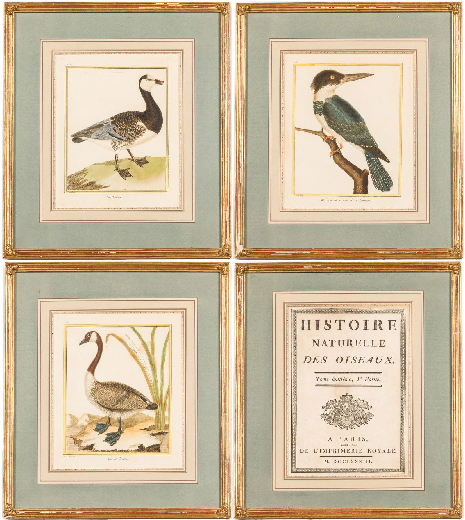 Three Colored Engravings of Birds and Frontispiece (1 of 20)