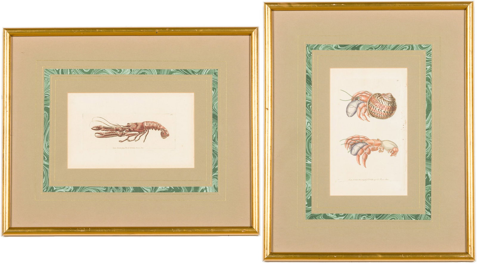F. P. Nodder, 2 Hand Colored Engravings of Crustacea, 18/19th C (1 of 9)