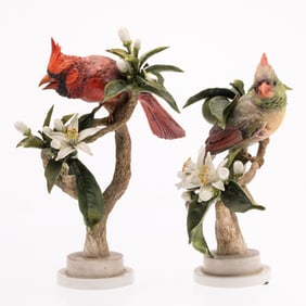 Pr Dorothy Doughty Virginian Cardinals & Orange Blsm