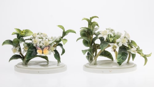 Pair Dorothy Doughty Orange Blossom and Butterfly