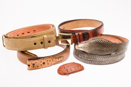 4 Snakeskin and Other Men's Belts and a Buckle